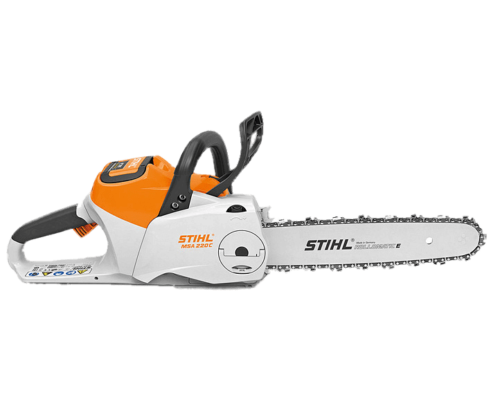MS 250 Chainsaw